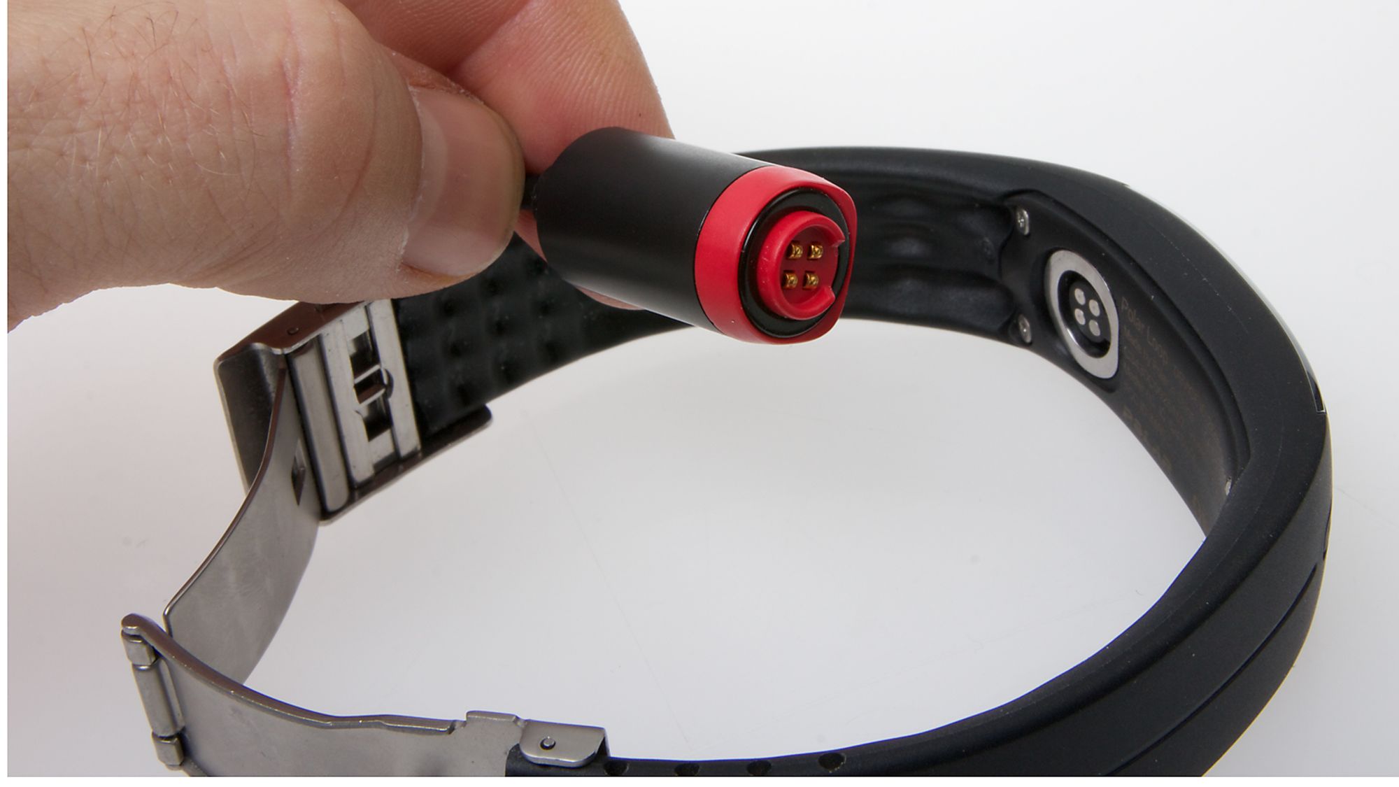 polar loop